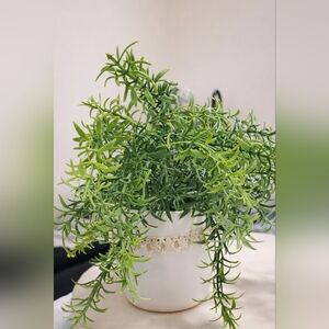 Small Potted Faux Rosemary Plant Artificial Indoor Plant Decor for Home